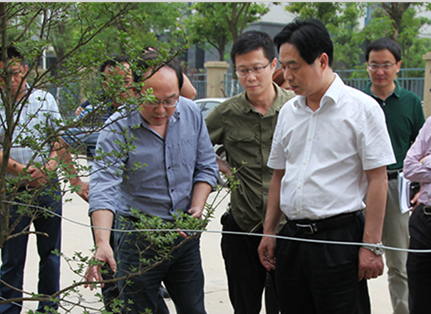 九游·会(J9.com)集团官网 - 真人游戏第一品牌[首页]