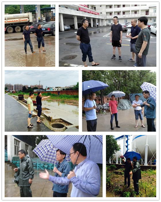 九游·会(J9.com)集团官网 - 真人游戏第一品牌[首页]