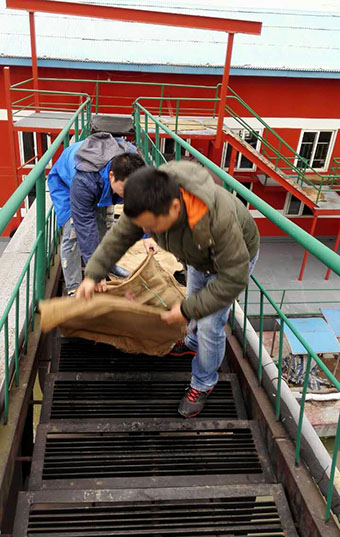 九游·会(J9.com)集团官网 - 真人游戏第一品牌[首页]