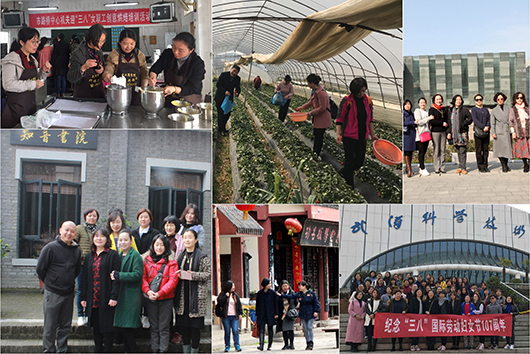 九游·会(J9.com)集团官网 - 真人游戏第一品牌[首页]