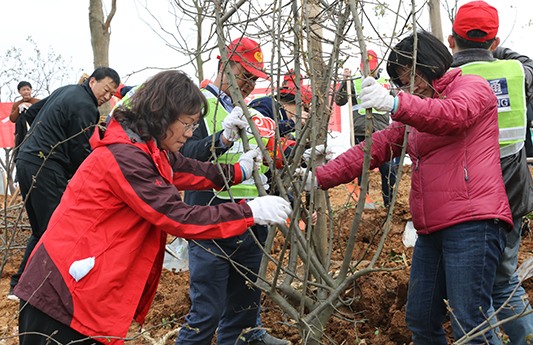 九游·会(J9.com)集团官网 - 真人游戏第一品牌[首页]