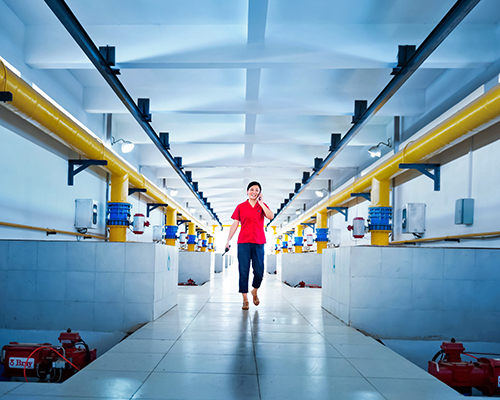 九游·会(J9.com)集团官网 - 真人游戏第一品牌[首页]