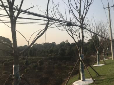 九游·会(J9.com)集团官网 - 真人游戏第一品牌[首页]