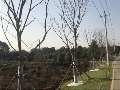 九游·会(J9.com)集团官网 - 真人游戏第一品牌[首页]