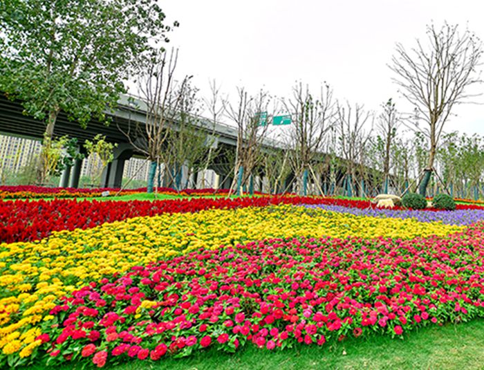 九游·会(J9.com)集团官网 - 真人游戏第一品牌[首页]