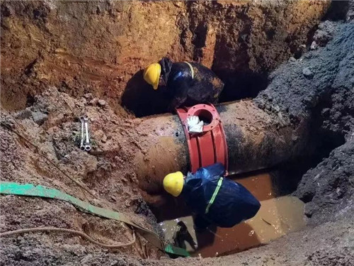 九游·会(J9.com)集团官网 - 真人游戏第一品牌[首页]