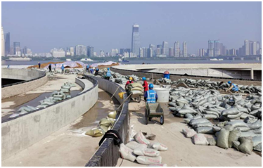 九游·会(J9.com)集团官网 - 真人游戏第一品牌[首页]