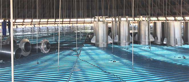 九游·会(J9.com)集团官网 - 真人游戏第一品牌[首页]